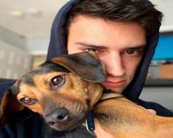Tabor is a dog lover and also has one in his home.